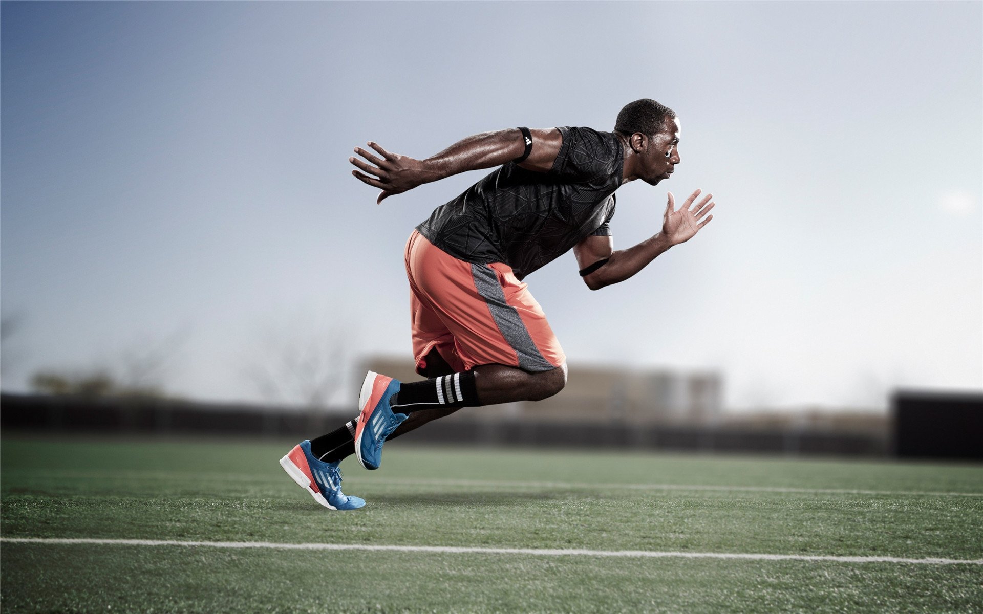 华体会网页版-冠军球队球员携手城市公益植树，共塑绿色未来